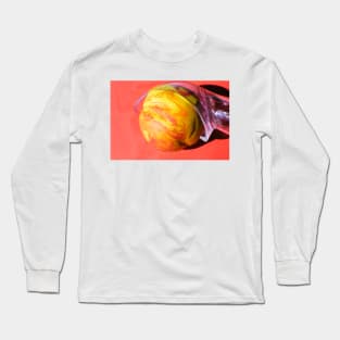 Ice cream Long Sleeve T-Shirt